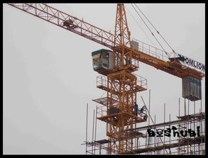 你知道塔吊是怎么上升的嗎 獨(dú)家報道