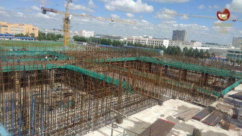 龍江經(jīng)濟(jì)振興的號角正在吹響